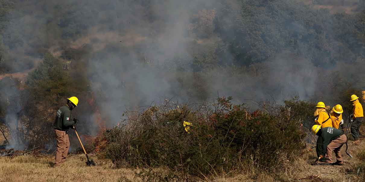 Incendios forestales
