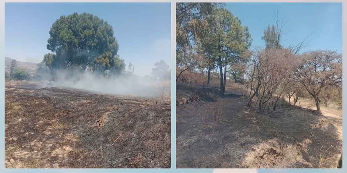 incendios forestales