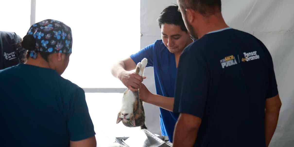 Ferias de Paz y Atención Médica de Primer Contacto