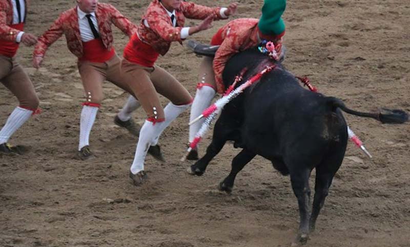 Este es el momento en que un toro mata a joven torero
