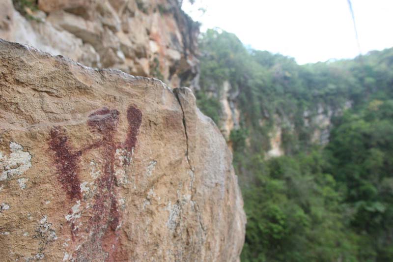 Conoce la Cueva de las Cotorras, la maravilla natural de Chiapas con vuelo de miles de aves y pinturas rupestres