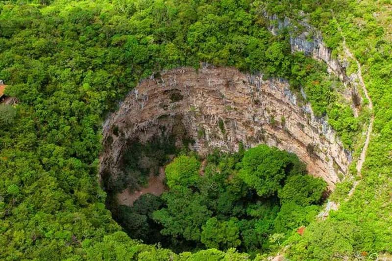 Conoce la Cueva de las Cotorras, la maravilla natural de Chiapas con vuelo de miles de aves y pinturas rupestres