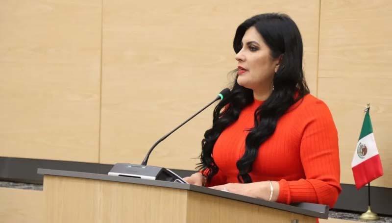 Delfina Pozos Vergara propuso derogar la Ley Casco y rechazó modificaciones parciales a la regulación.