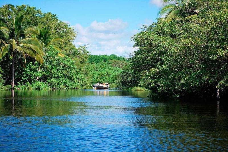 Entre selva y mar: descubre La Ventanilla, el tesoro oculto de Oaxaca