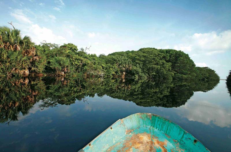 Entre selva y mar: descubre La Ventanilla, el tesoro oculto de Oaxaca