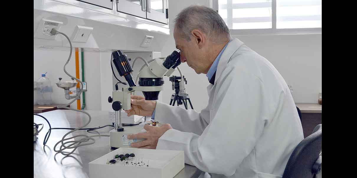 Examen de admisión