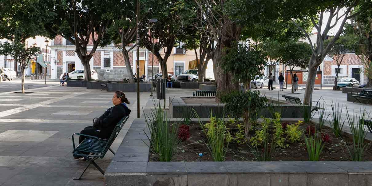 Cuidado de áreas verdes