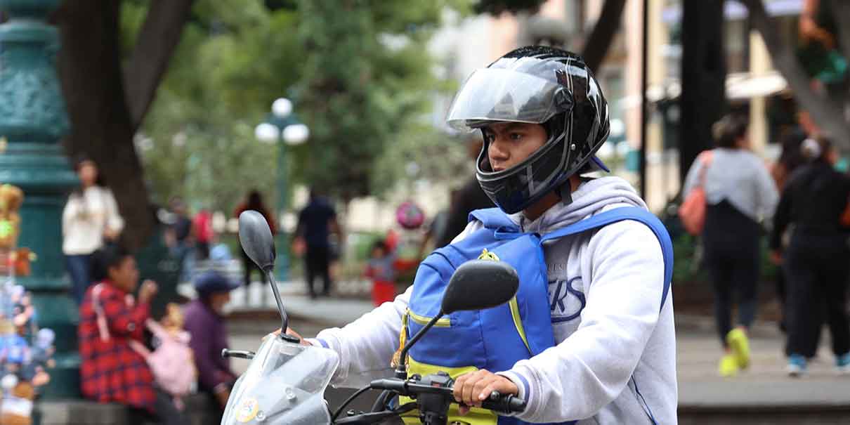 Ley Casco