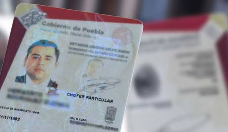 La licencia de automovilista es la indicada para conducir un vehículo particular.