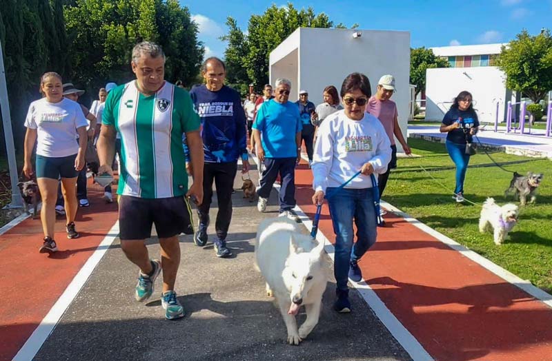 Mejoras en transporte, seguridad y apoyos académicos: plan de Lilia Cedillo en la BUAP
