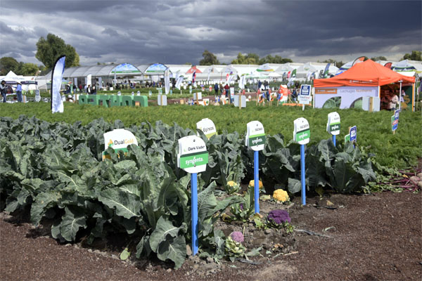 Expo Hortícola BUAP
