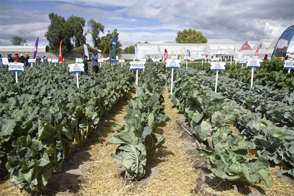 Expo Hortícola BUAP