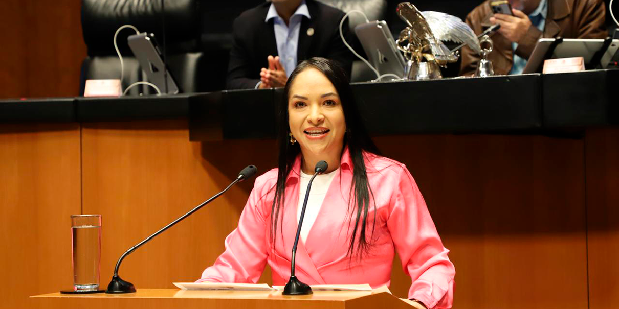 Liz Sánchez del PT