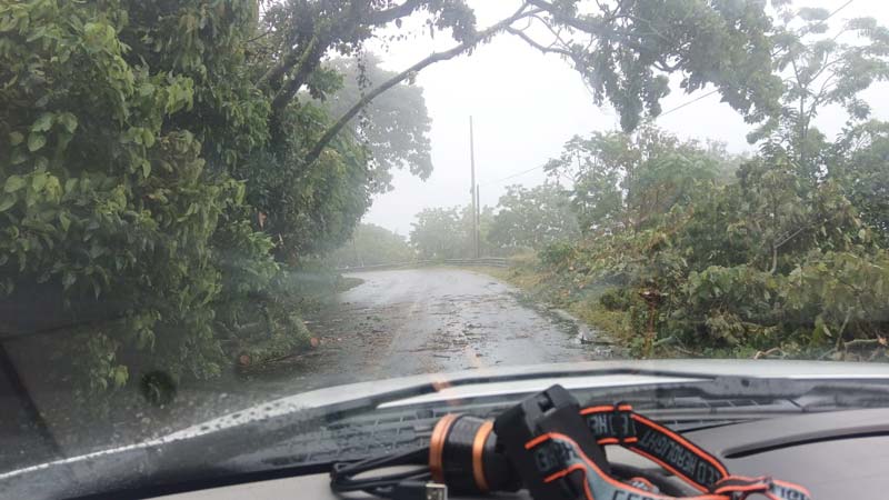Deslaves y carreteras destruidas en al menos 10 municipios de la Sierra Norte