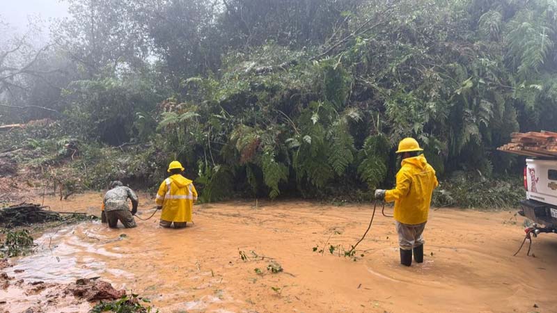 Suman 47 muertos por lluvias; más de 150 municipios afectados en cinco estados