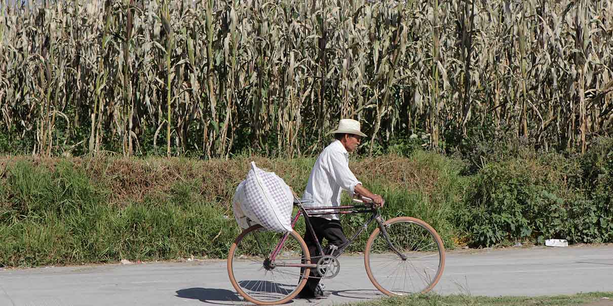 Agricultura