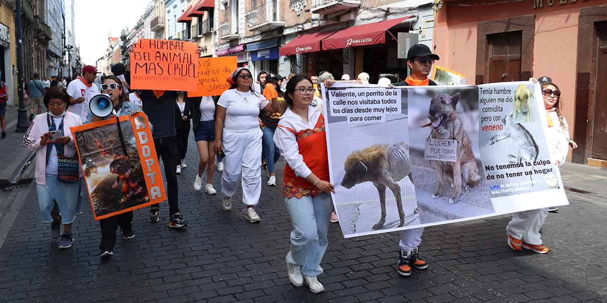 Maltrato animal