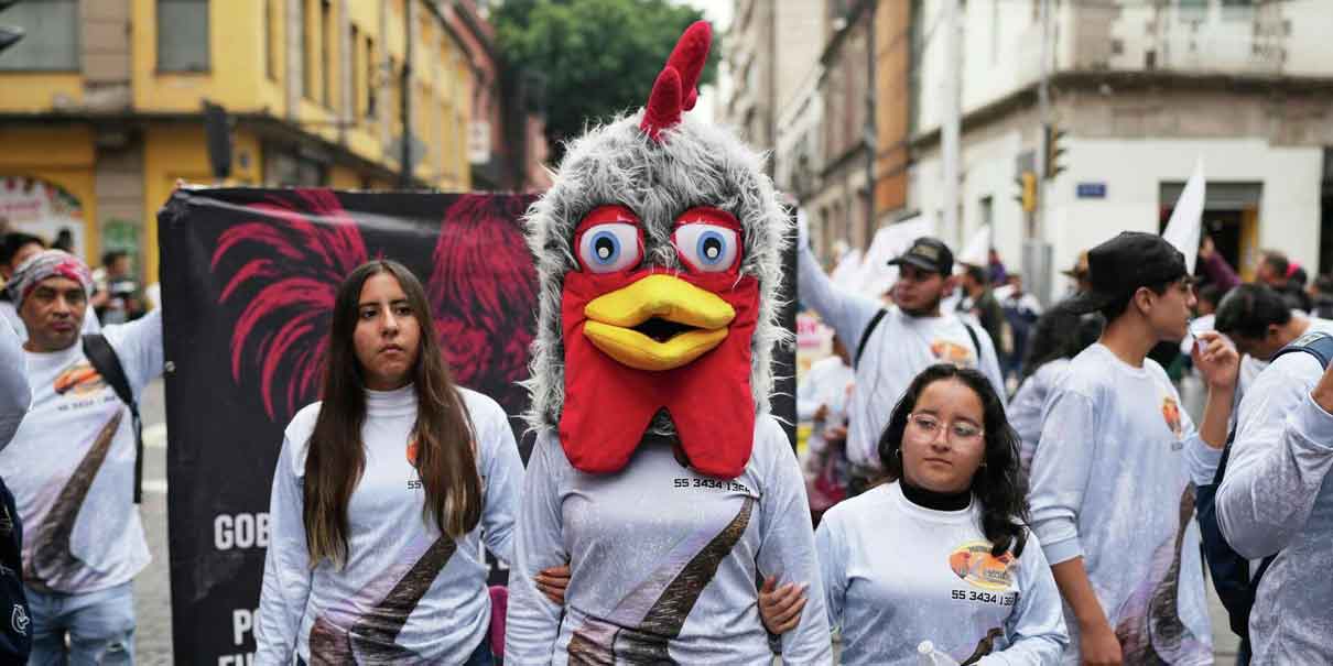 Protestan en CDMX contra reforma que prohíbe corridas de toros y peleas de gallos