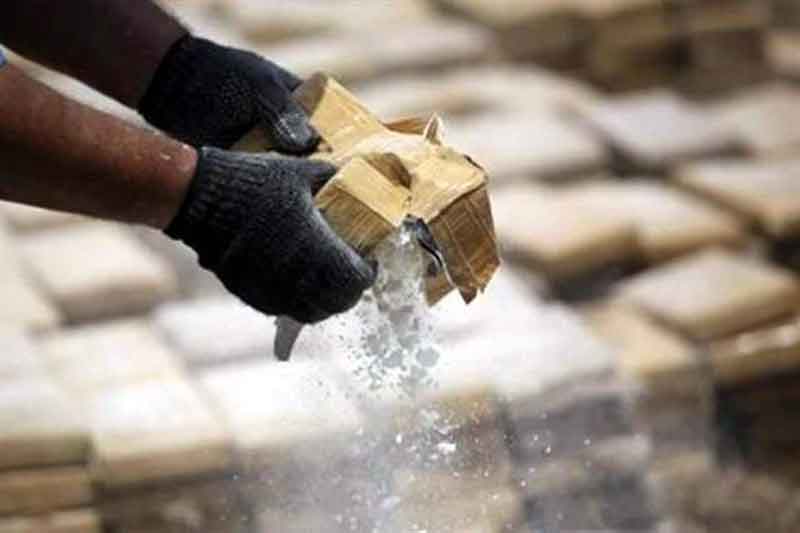 Decomisan más de 9 toneladas de drogas y químicos en Chiapas, Guerrero y Tijuana en operativos simultáneos