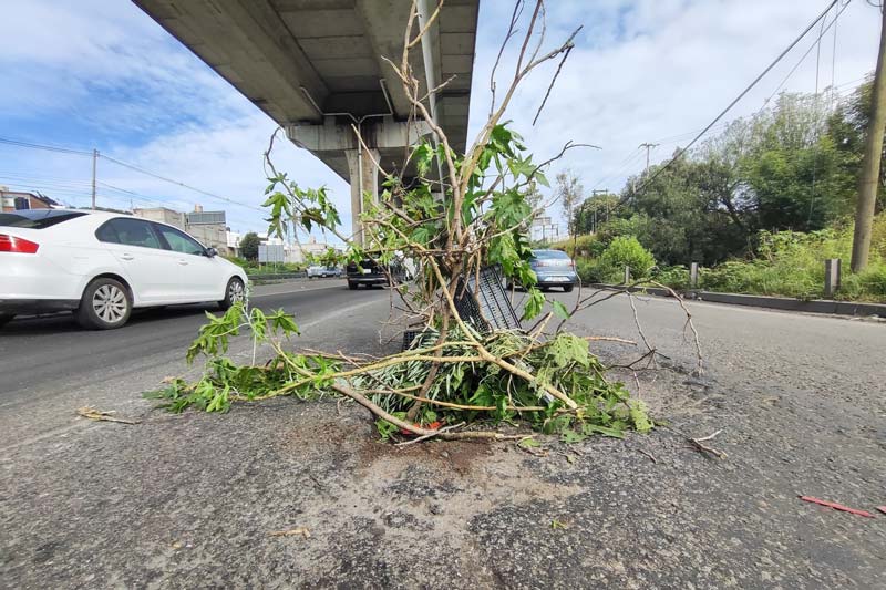 Bache provocó múltiples daños en autos en la autopista México–Puebla