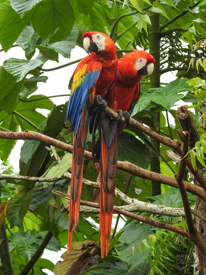 Nahá, la comunidad lacandona de Chiapas escondida entre lagunas y selva