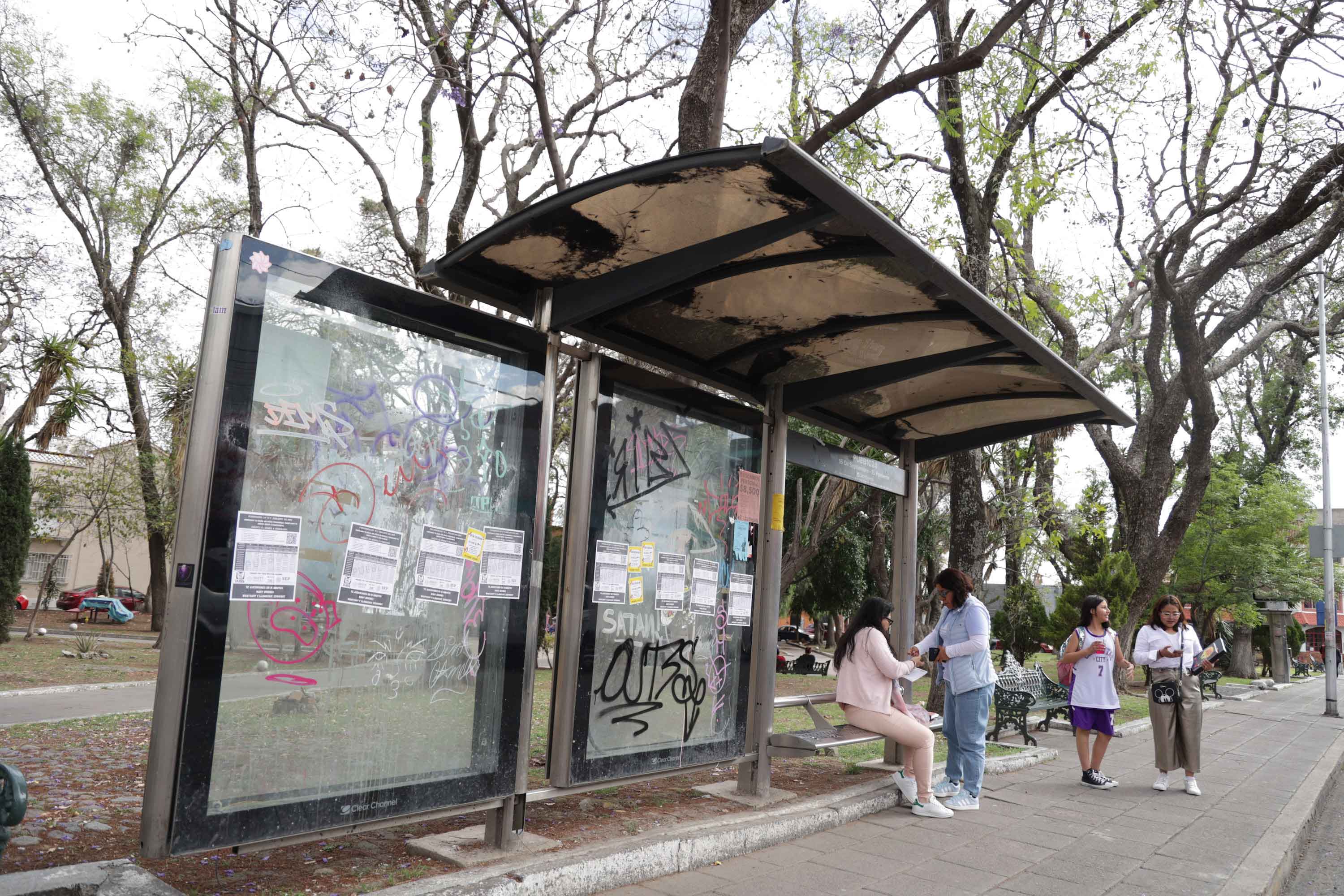 No hay “elegido” para entregarle la concesión de paraderos: Chedraui