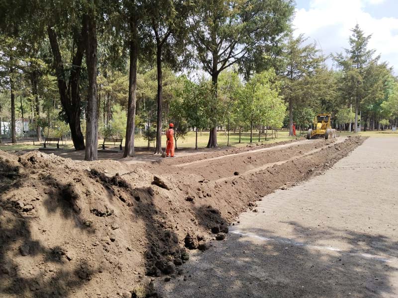 Parque Flor del Bosque será renovado y permanecerá cerrado hasta agosto