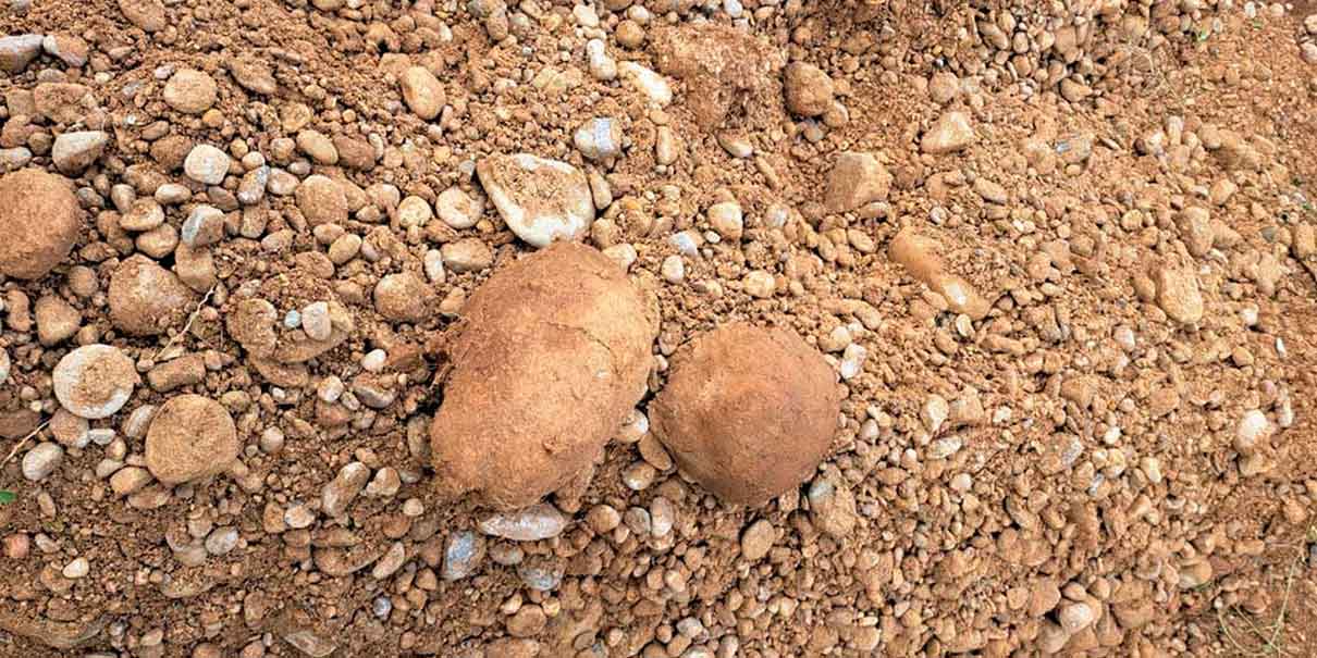 Pastores hallaron cráneo y fémur en campos de Tecamachalco