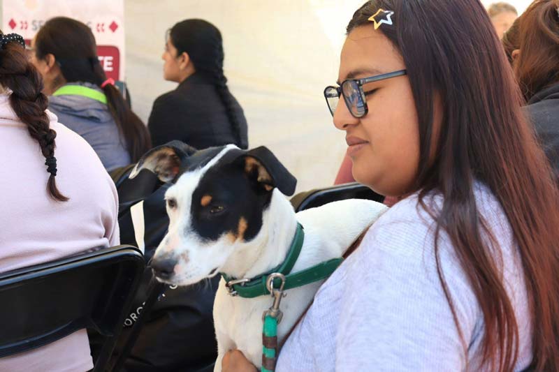 Pepe Chedraui impulsa jornadas de bienestar animal en colonias de Puebla
