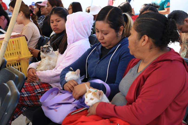 Pepe Chedraui impulsa jornadas de bienestar animal en colonias de Puebla