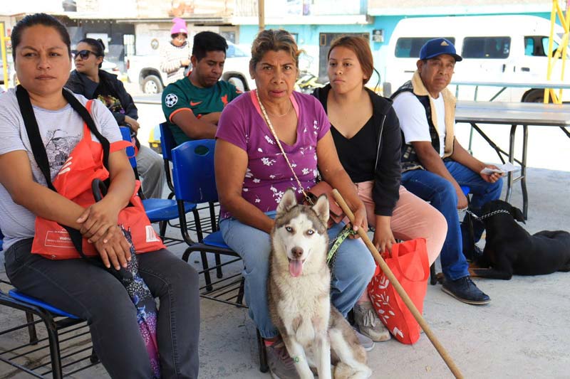 Pepe Chedraui impulsa jornadas de bienestar animal en colonias de Puebla