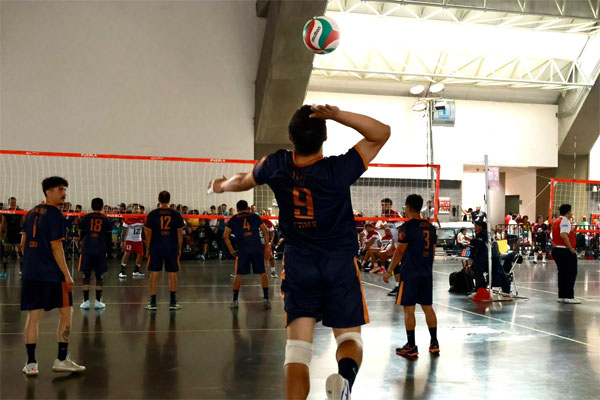 Festival Máster de Voleibol