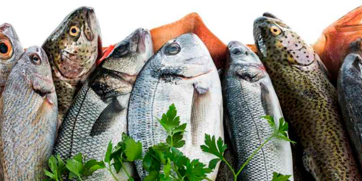 Pescados nutritivos