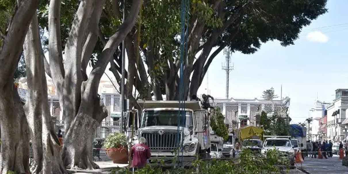Por ley, el Congreso dará mayor atención a la zona arbolada en Puebla