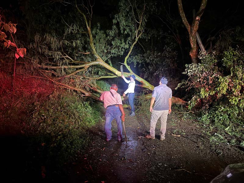 Protección Civil retira árboles caídos tras lluvias en Acatlán y Ajalpan