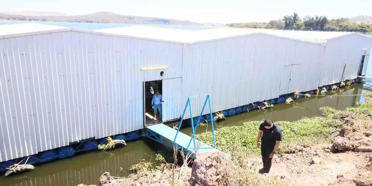 Puebla lanza fertilizante industrial y planea versión orgánica