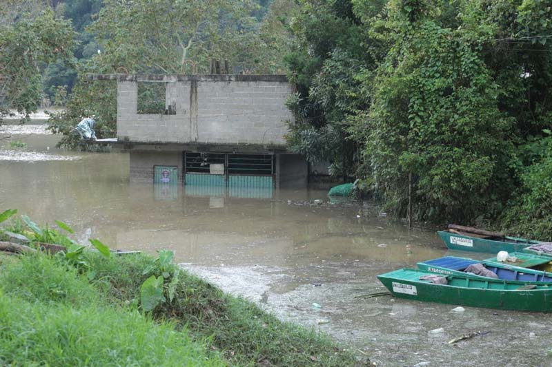 Armenta lanza llamado de ayuda para “limpiar” la Sierra Norte