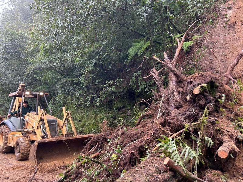 Armenta lanza llamado de ayuda para “limpiar” la Sierra Norte