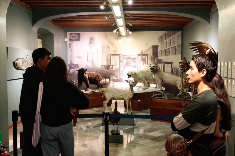 Espectacular Noche de Museos en Puebla por Día de Muertos