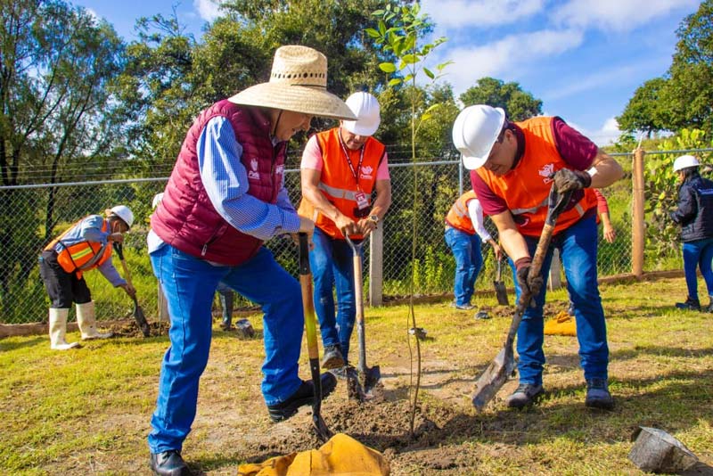 Puebla impulsa reforestación con producción de composta