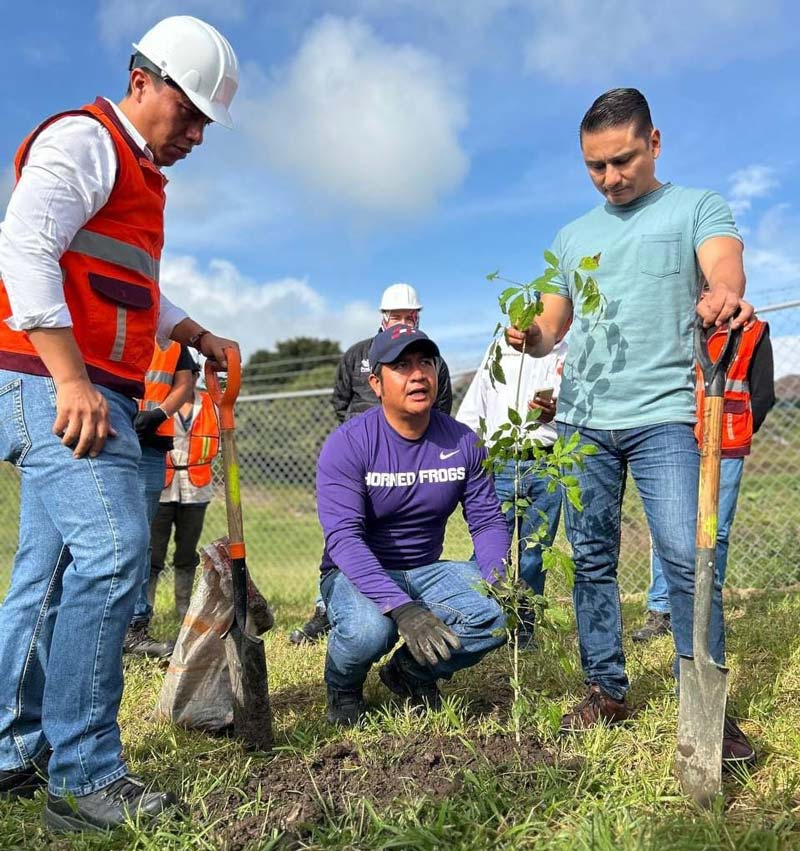 Puebla impulsa reforestación con producción de composta