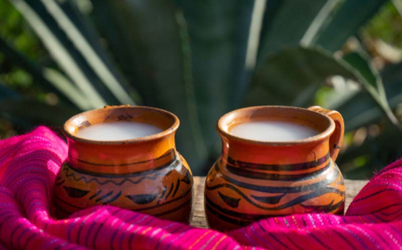 Historia del pulque en Puebla: cómo sobrevive esta bebida prehispánica en Atlixco
