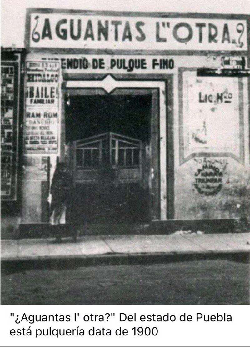 Historia del pulque en Puebla: cómo sobrevive esta bebida prehispánica en Atlixco
