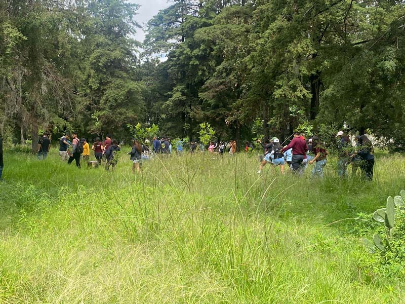 Jornada de arborización en Puebla busca mitigar efectos del cambio climático