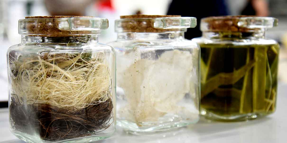 Residuos de agave