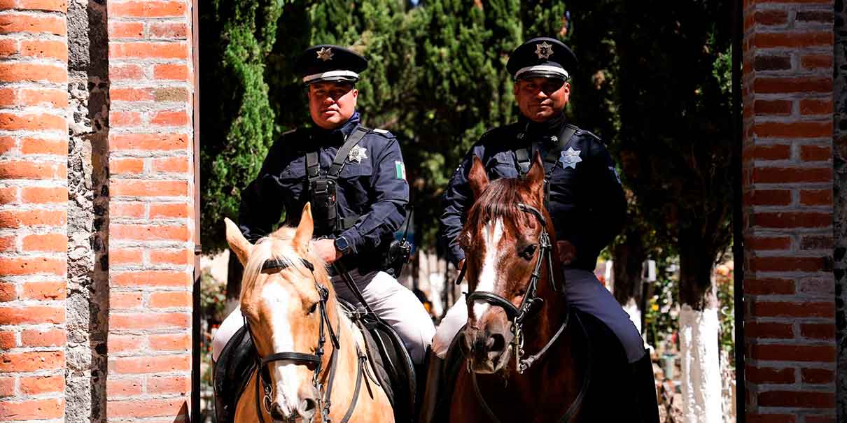 Operativo Todos Santos