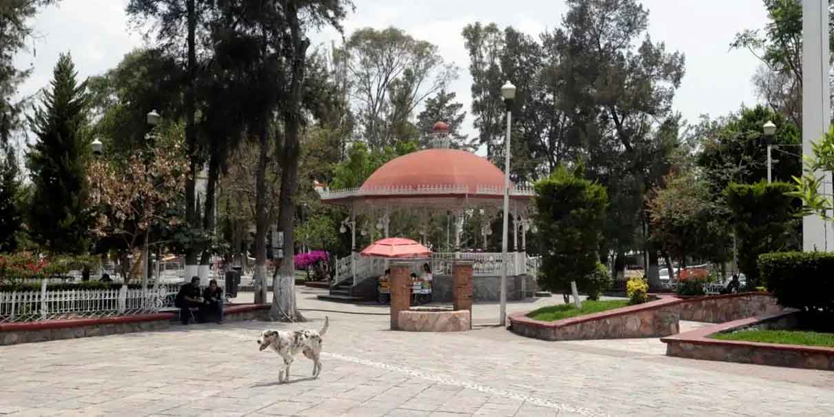 municipio