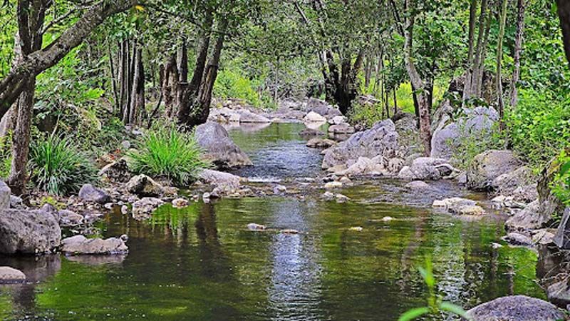 Santa María Yavesía, el paraíso escondido en la Sierra Juárez de Oaxaca