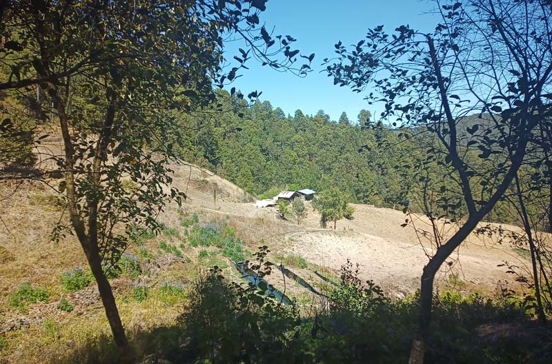 Santa María Yavesía, el paraíso escondido en la Sierra Juárez de Oaxaca