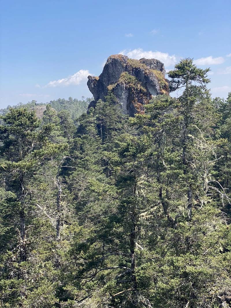 Cabañas ecológicas en la región de la Sierra Juárez